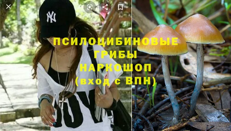 Галлюциногенные грибы Magic Shrooms  Кириши 